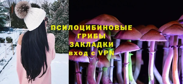 трава Вязьма